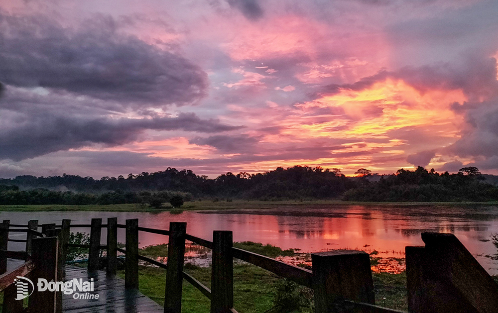 Nơi này hoang sơ ở Đồng Nai có loài cá to nghe tên là sợ, có cả thứ chim xít &quot;biết giữ nhà&quot; - Ảnh 10.