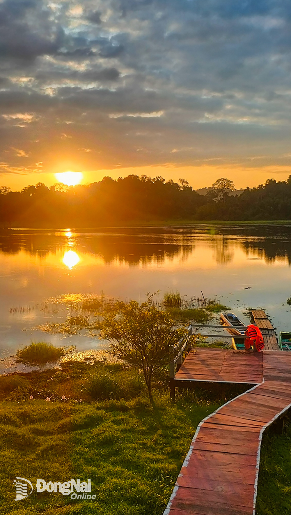 Nơi này hoang sơ ở Đồng Nai có loài cá to nghe tên là sợ, có cả thứ chim xít &quot;biết giữ nhà&quot; - Ảnh 13.