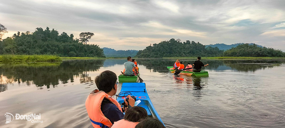 Nơi này hoang sơ ở Đồng Nai có loài cá to nghe tên là sợ, có cả thứ chim xít &quot;biết giữ nhà&quot; - Ảnh 5.