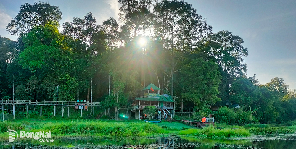 Nơi này hoang sơ ở Đồng Nai có loài cá to nghe tên là sợ, có cả thứ chim xít &quot;biết giữ nhà&quot; - Ảnh 6.