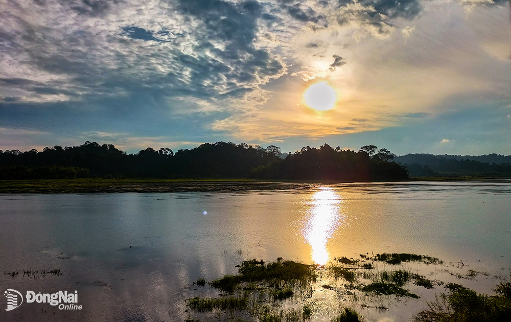 Nơi này hoang sơ ở Đồng Nai có loài cá to nghe tên là sợ, có cả thứ chim xít &quot;biết giữ nhà&quot; - Ảnh 8.