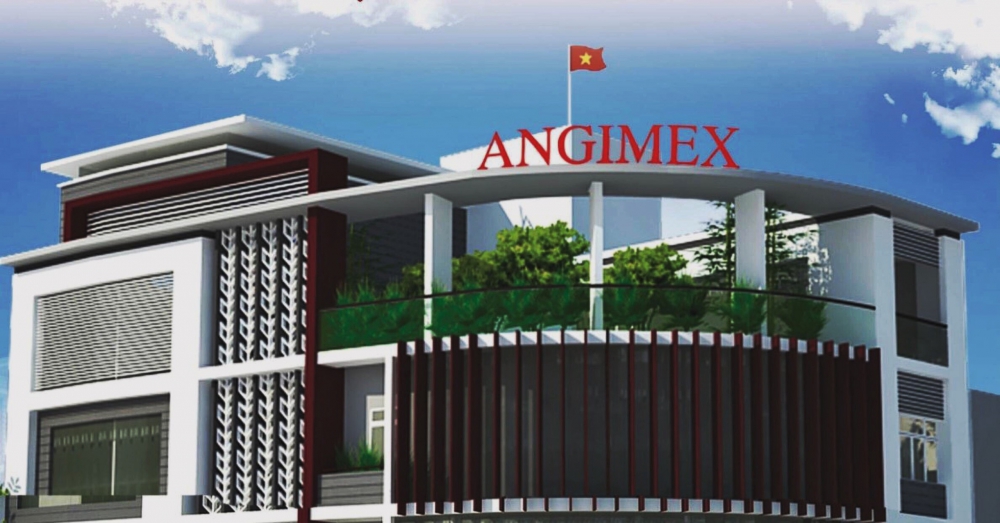 Angimex: Lãi chưa bù đắp được lợi nhuận bị âm - Ảnh 2.