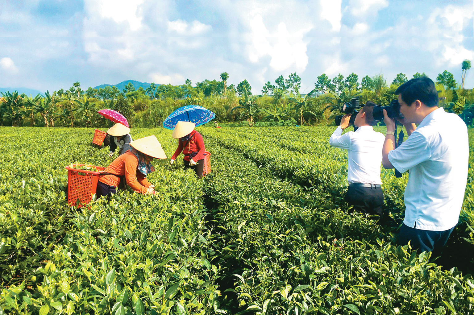 Đề tài tam nông - 'mảnh đất' màu mỡ, tạo nhiều cảm hứng để báo chí 'canh tác' - Ảnh 1.