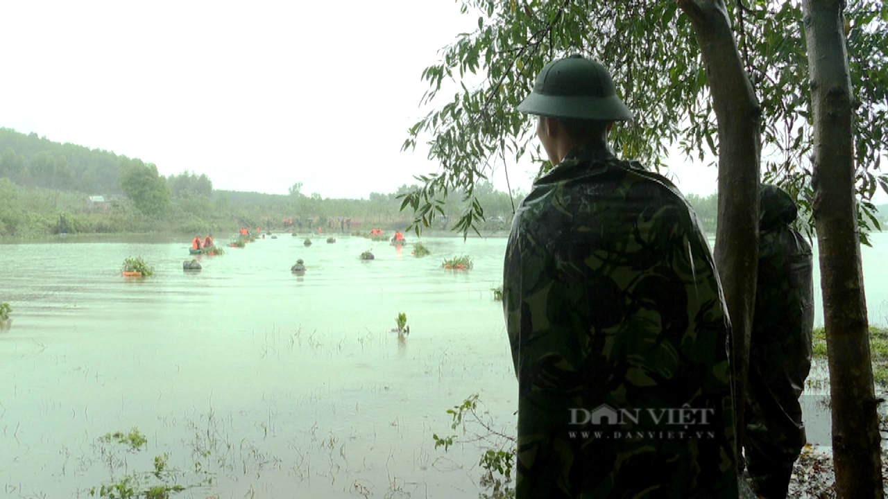 Xem Bộ đội Hà Tĩnh diễn tập bí mật vượt sông chiến đấu trong thời tiết mưa rét giá lạnh - Ảnh 11.