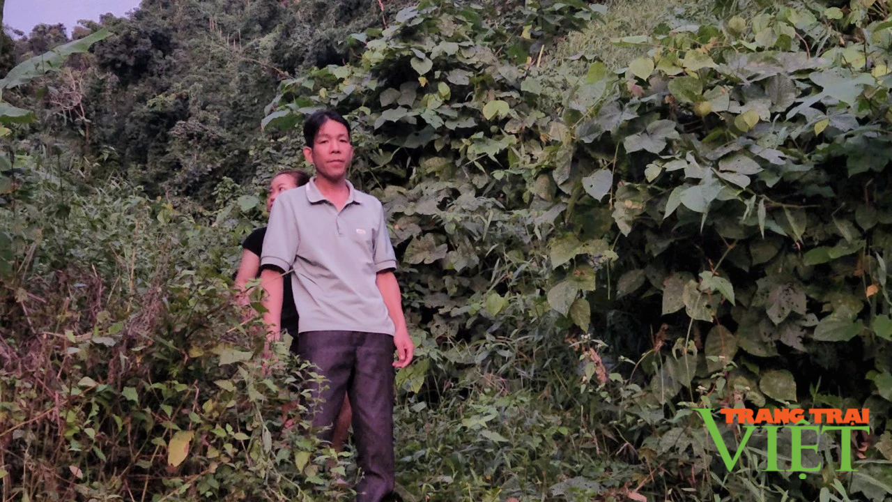 Lai Châu: Xã Mường Tè tăng cường công tác quản lý, bảo vệ rừng  - Ảnh 3.