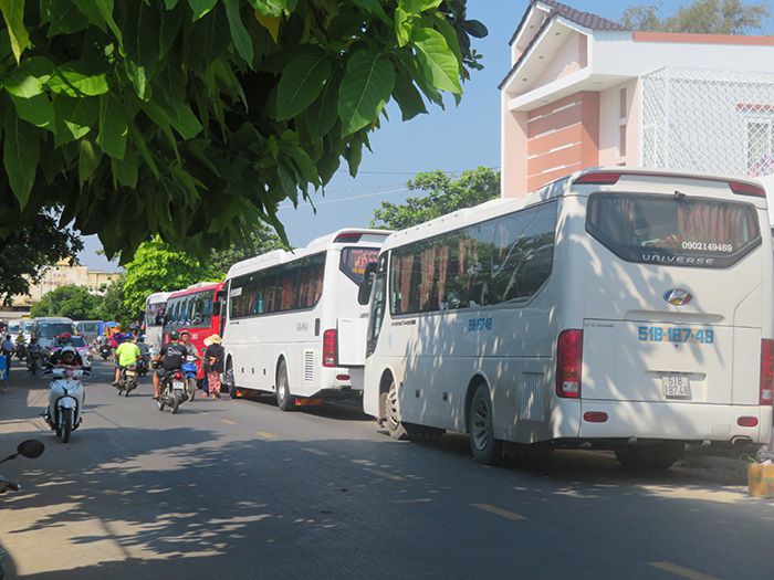 Một chợ cá mua bán tấp nập ở Bình Thuận, trên trời dưới cá ngon, có ốc to lạ, ô tô nối đuôi nhau - Ảnh 1.