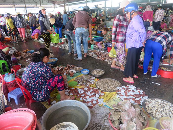 Một chợ cá mua bán tấp nập ở Bình Thuận, trên trời dưới cá ngon, có ốc to lạ, ô tô nối đuôi nhau - Ảnh 5.