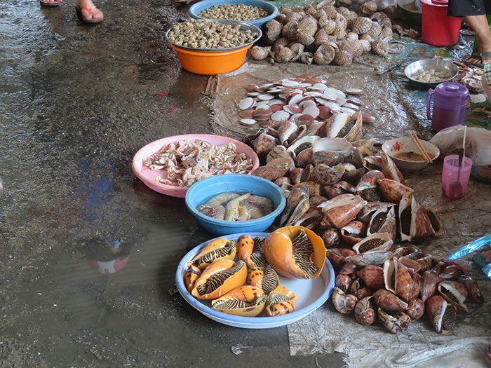 Một chợ cá mua bán tấp nập ở Bình Thuận, trên trời dưới cá ngon, có ốc to lạ, ô tô nối đuôi nhau - Ảnh 6.