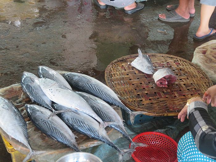 Một chợ cá mua bán tấp nập ở Bình Thuận, trên trời dưới cá ngon, có ốc to lạ, ô tô nối đuôi nhau - Ảnh 7.
