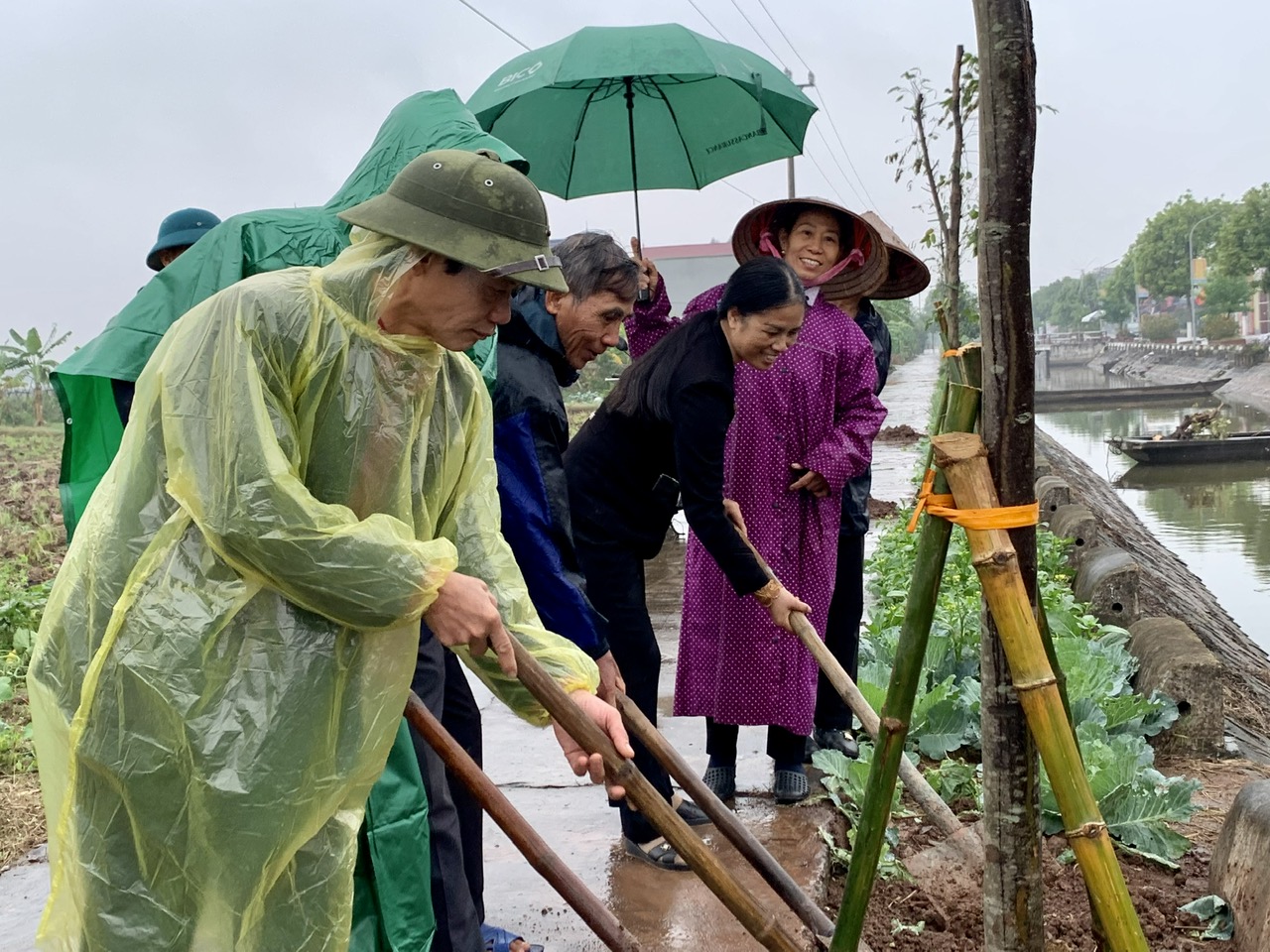 Hội Nông dân Việt Nam xây dựng mô hình “Thôn, xóm, sáng, xanh, sạch, đẹp an toàn” tại Hải Hậu, Nam Định - Ảnh 2.