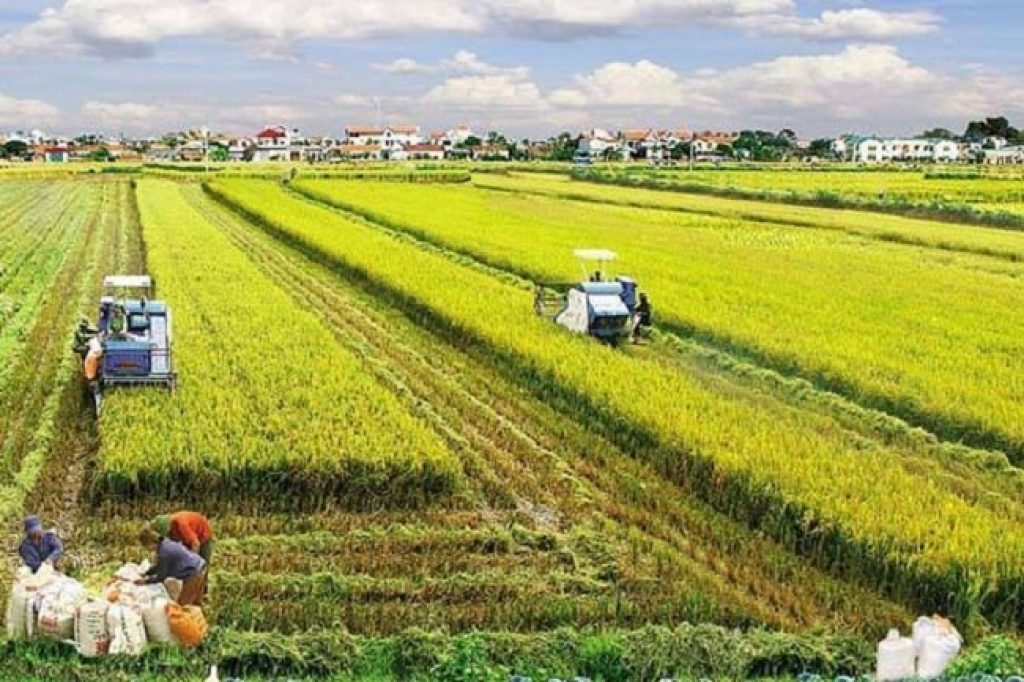 Vì sao các doanh nghiệp vùng Trung du và miền núi Bắc bộ 'gặp khó' khi vay vốn của ngân hàng thương mại? - Ảnh 1.