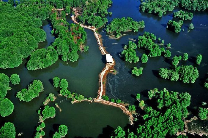 Khu rừng cách trung tâm TP HCM 40km, trên chim trời, dưới cây xanh, nước 3 dòng sông nổi tiếng dồn về - Ảnh 1.