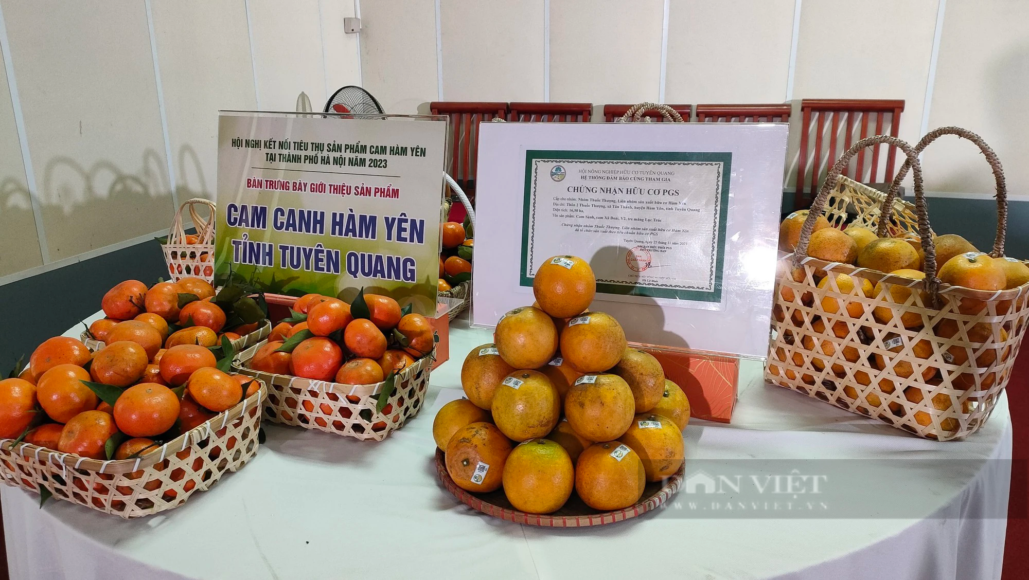 Tuyên Quang: Hơn 5.100ha trồng cam, Hàm Yên đánh thức &quot;mỏ vàng&quot; 100 tỷ đồng - Ảnh 4.