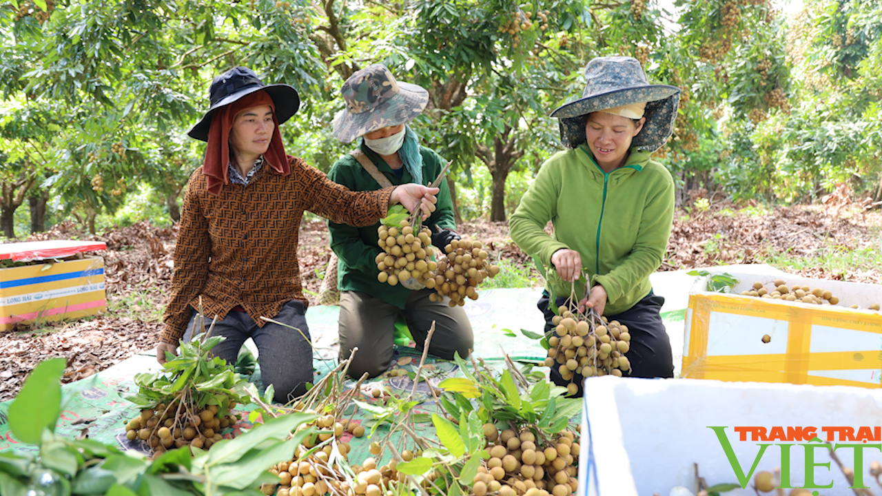 Sơn La: Mở rộng thị trường cho sản phẩm nông nghiệp - Ảnh 5.