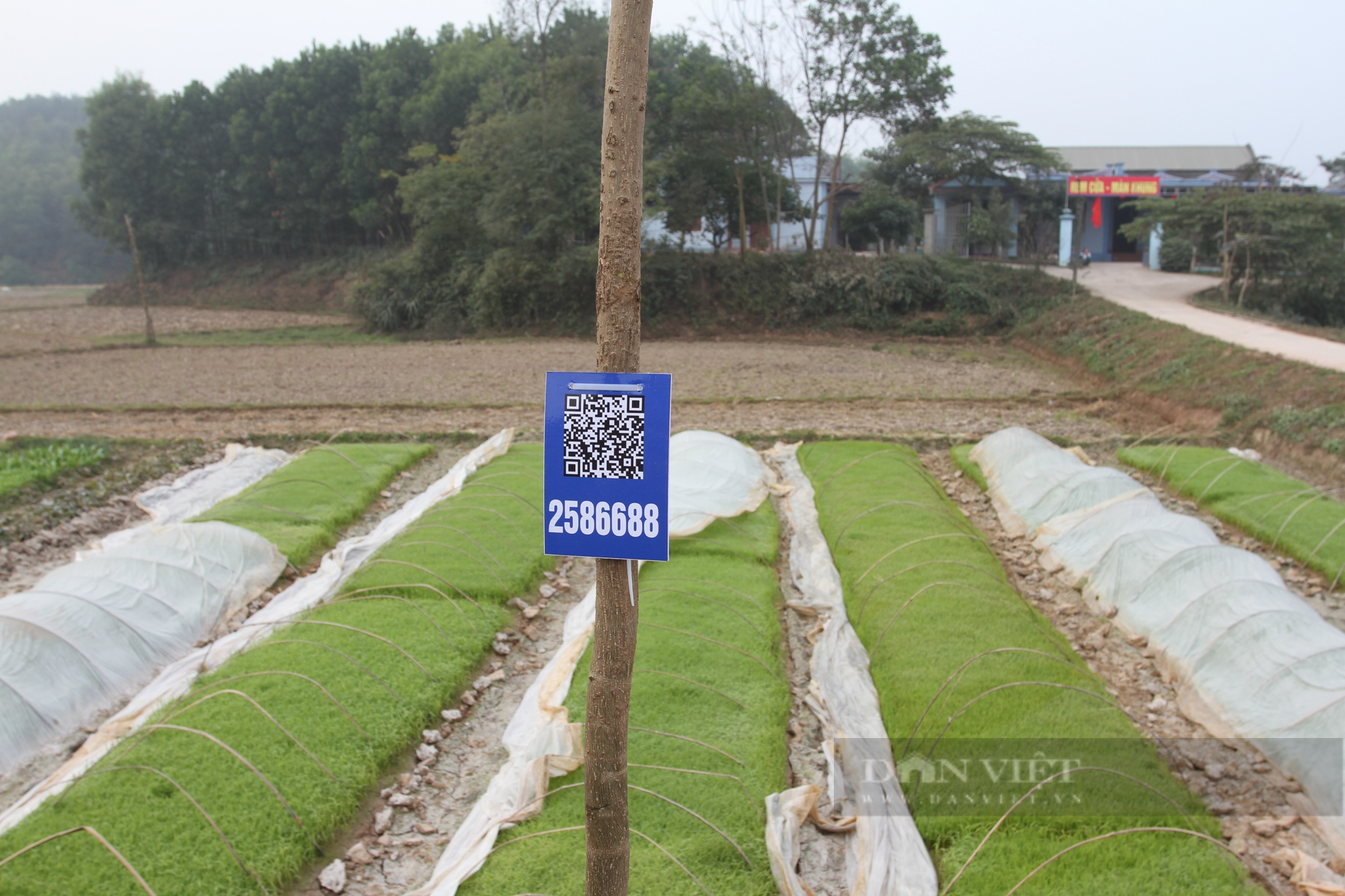 Thái Nguyên: Huyện Phú Bình phát động trồng hơn 2.000 cây xanh gắn mã QR - CODE - Ảnh 7.
