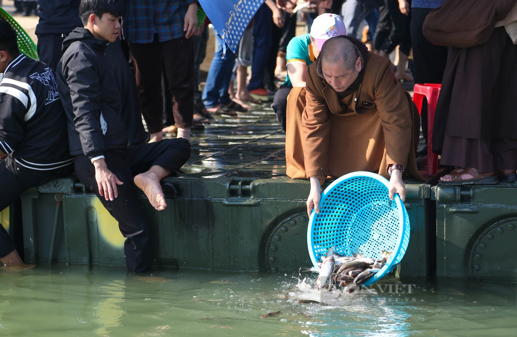 Nghệ An: Phóng sinh hơn 10 tấn cá xuống sông Lam - Ảnh 5.