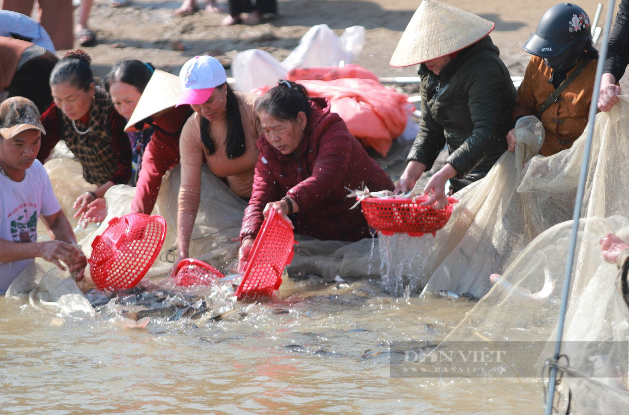 Nghệ An: Phóng sinh hơn 10 tấn cá xuống sông Lam - Ảnh 8.