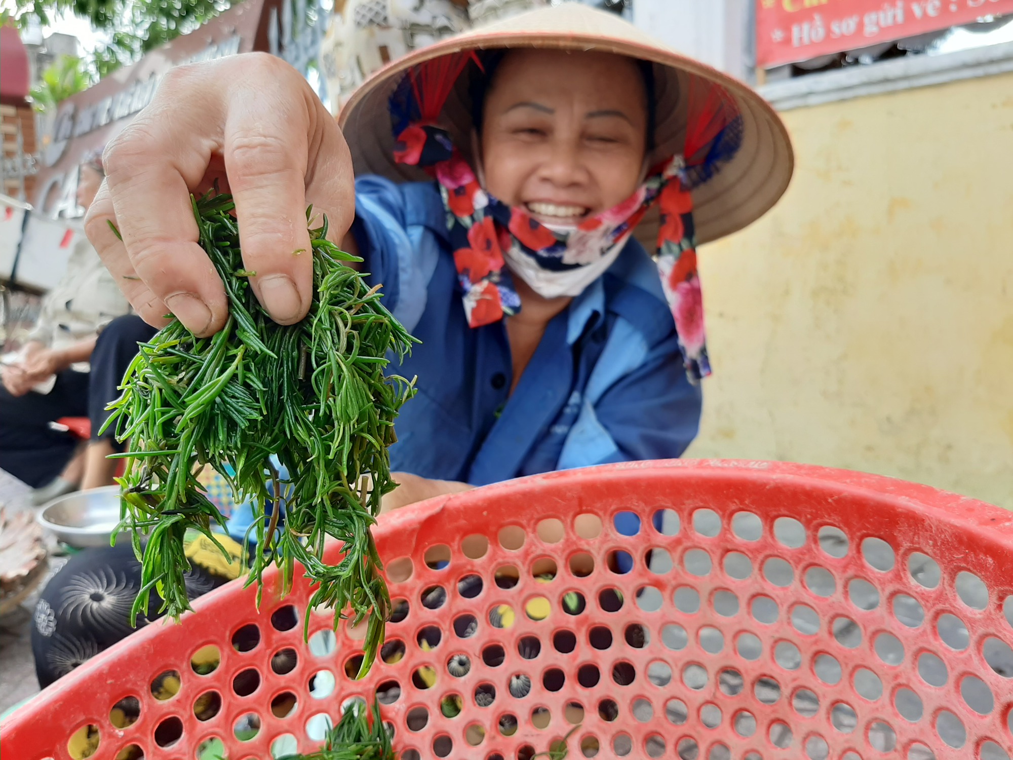 Loại rau dại mọc hoang &quot;hít&quot; khí trời mà sống, xưa chẳng ai ngó ngàng nay thành đặc sản &quot;đắt như tôm tươi&quot; - Ảnh 1.