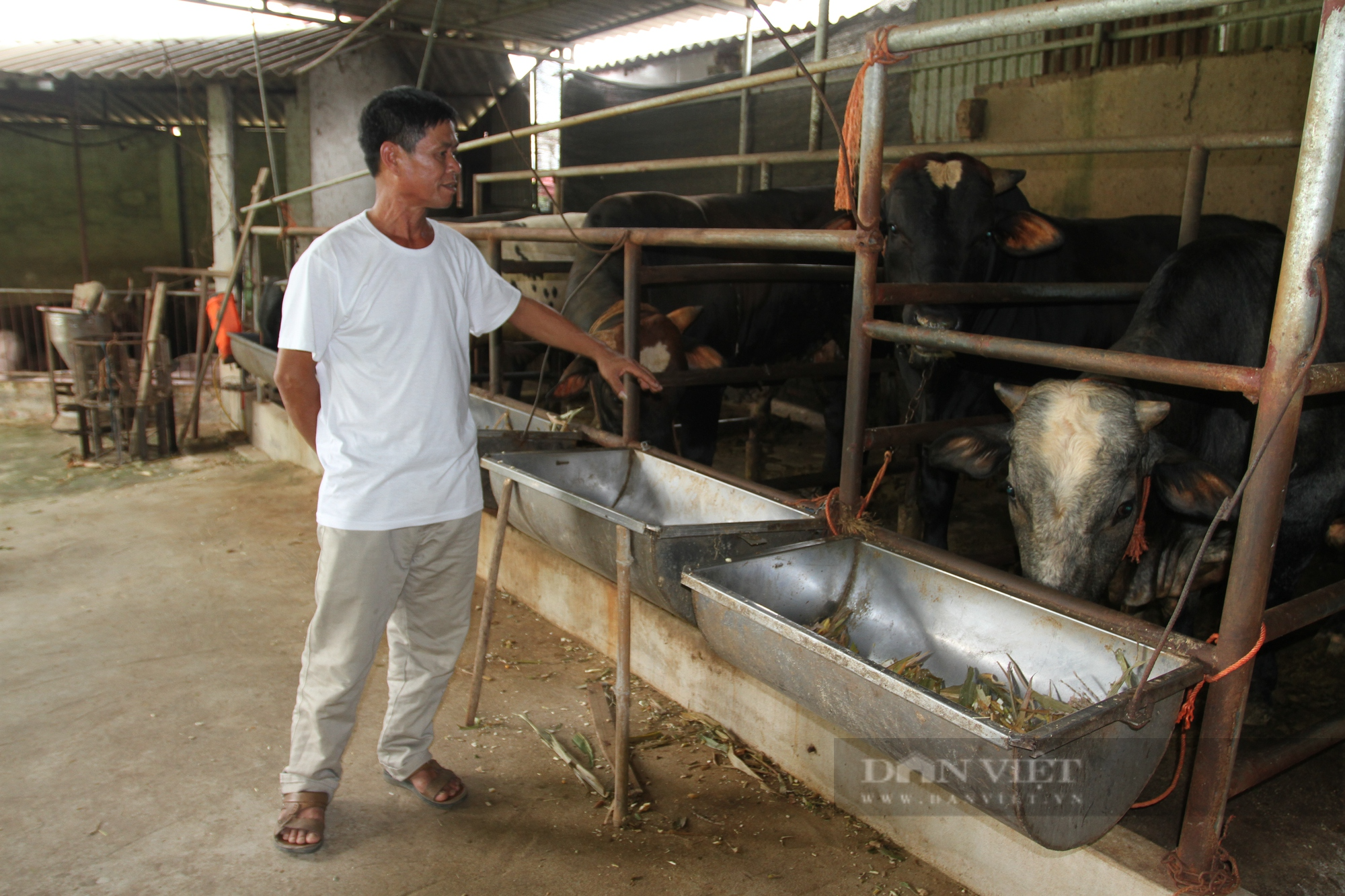 Thái Nguyên: Hội nông dân TP.Phổ Yên xây dựng 57 mô hình kinh tế tập thể trong 5 năm - Ảnh 1.