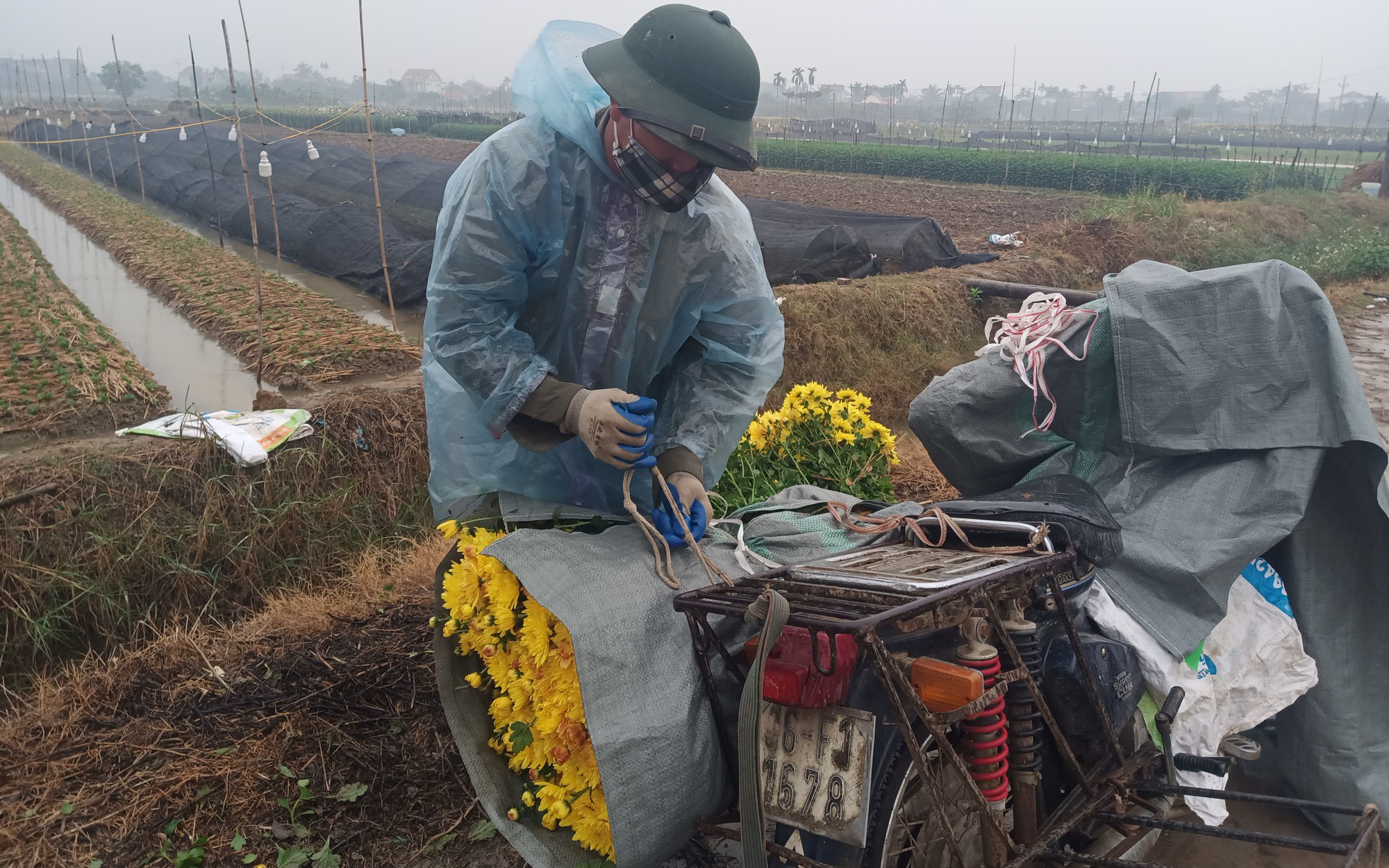 Nhìn lại vụ hoa tết ở Hải Dương, nông dân trúng đậm, một xã thu tới 30 tỷ