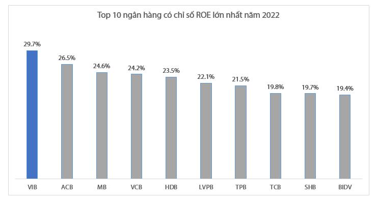 Những ngân hàng có ROE cao nhất năm 2022: VIB là quán quân, BIDV bứt tốc vào Top 10 - Ảnh 1.