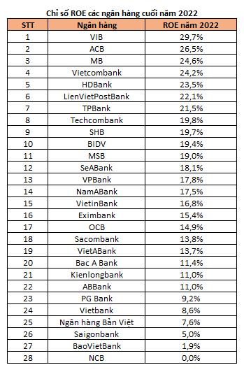 Những ngân hàng có ROE cao nhất năm 2022: VIB là quán quân, BIDV bứt tốc vào Top 10 - Ảnh 2.