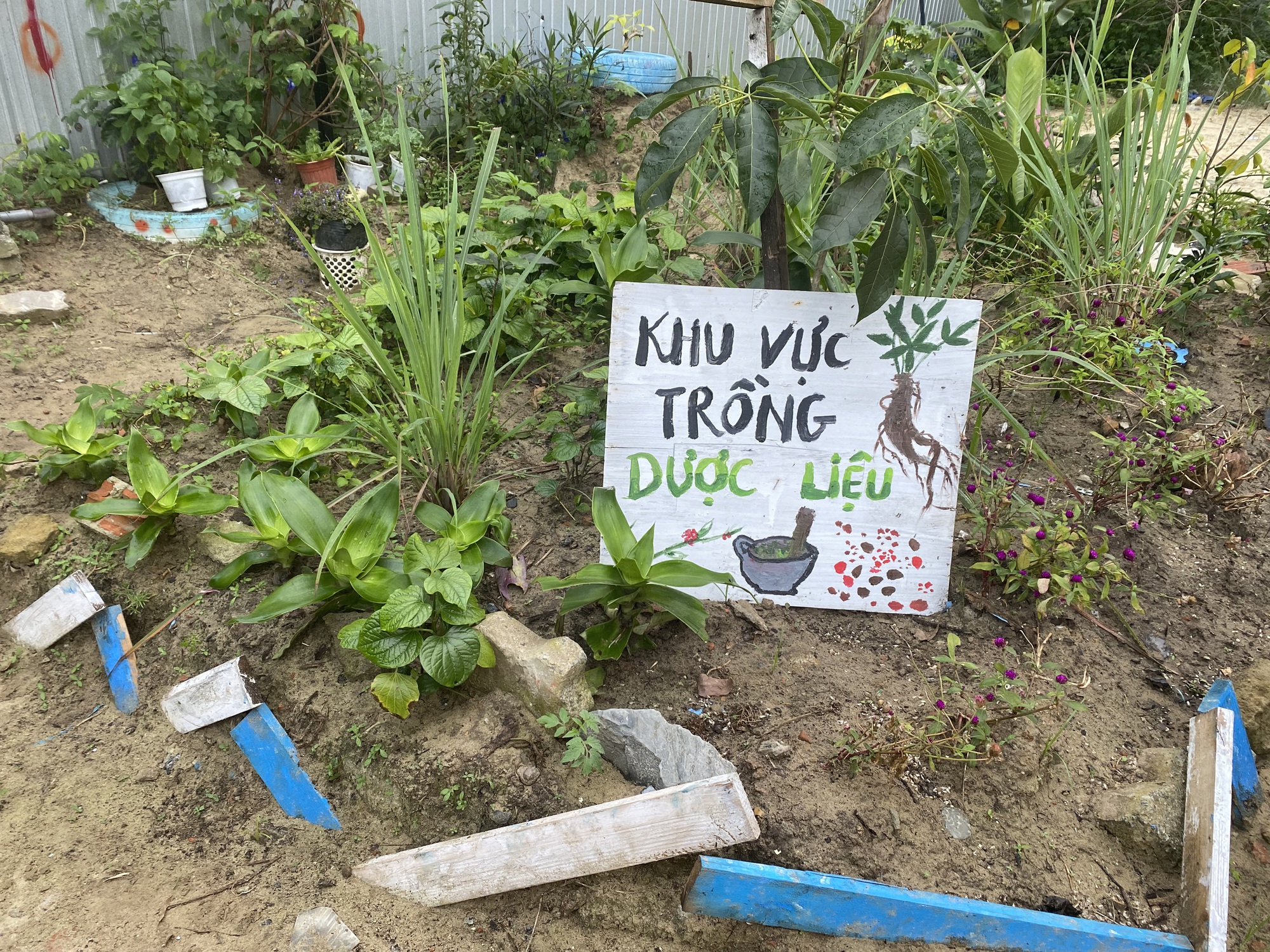 Biến rác thải thành vườn cộng đồng giữa lòng Đà Nẵng - Ảnh 3.