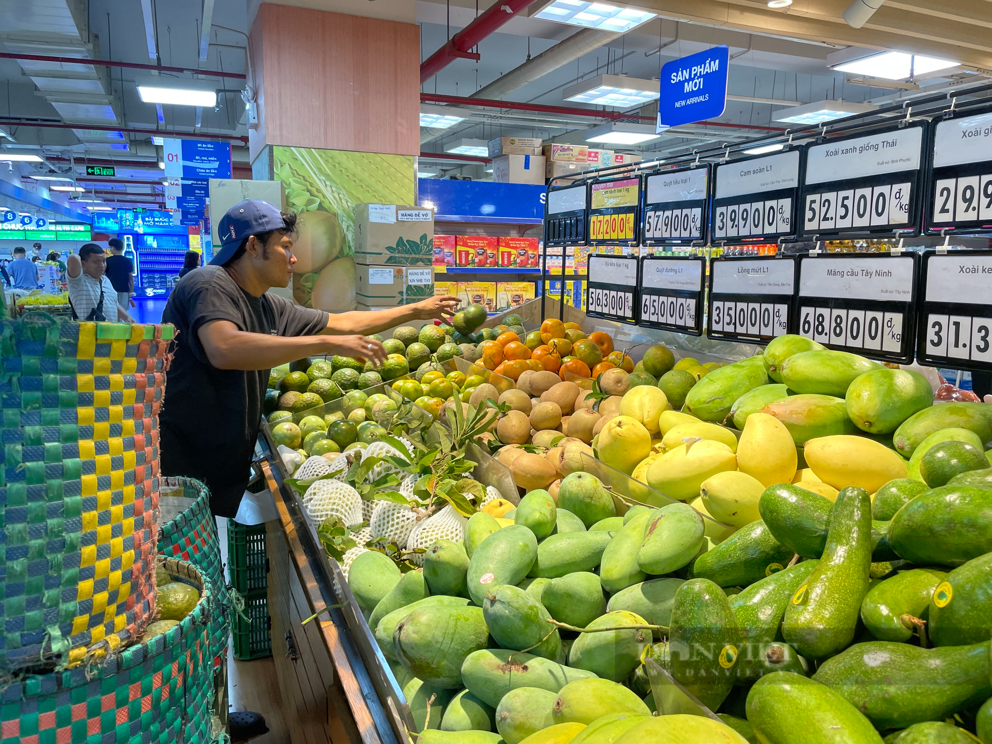 Cam sành rớt giá thê thảm, đổ đống chỉ vài nghìn/kg ở Sài Gòn - Ảnh 4.