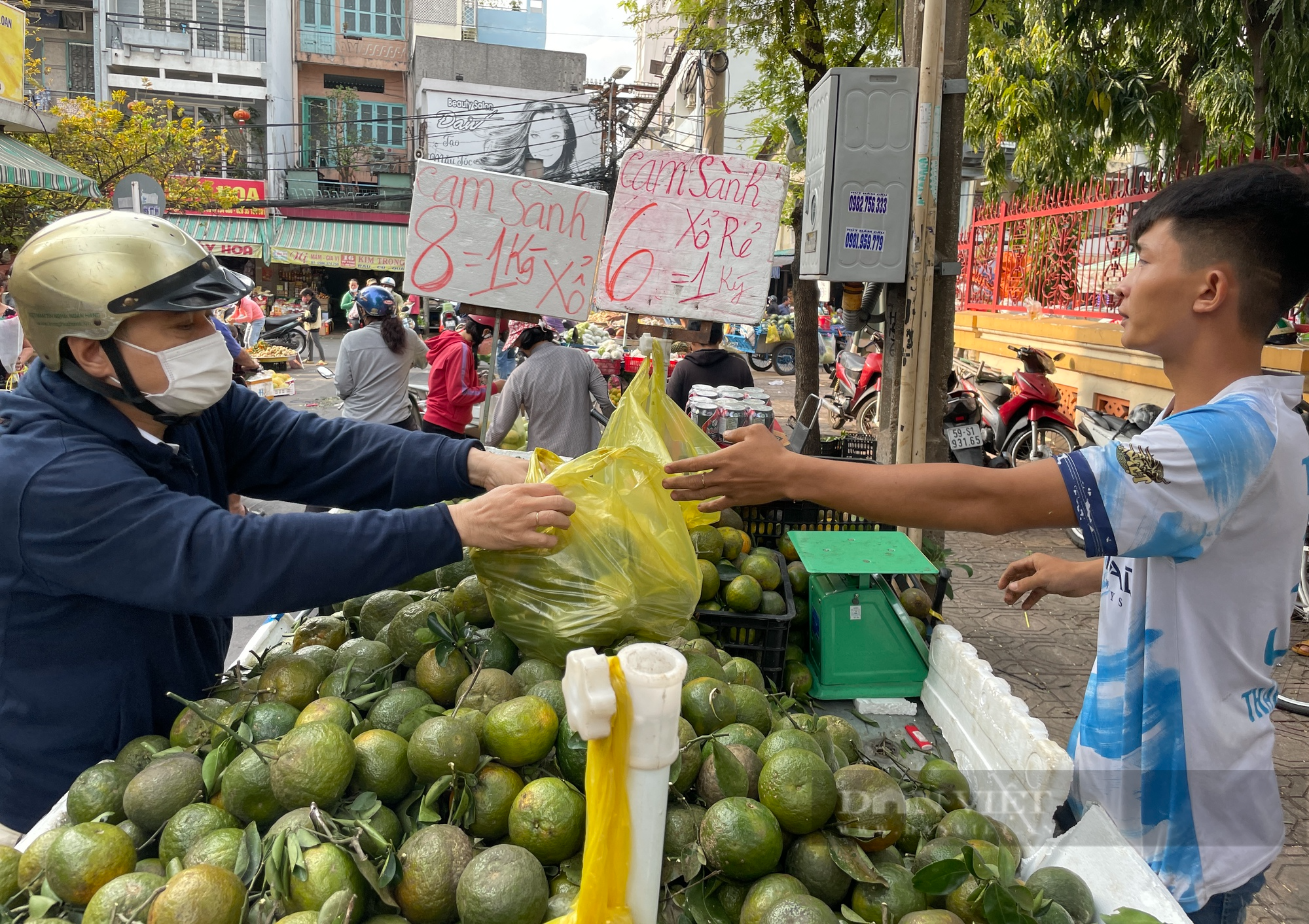 Cam sành rớt giá thê thảm, đổ đống chỉ vài nghìn/kg ở Sài Gòn - Ảnh 1.