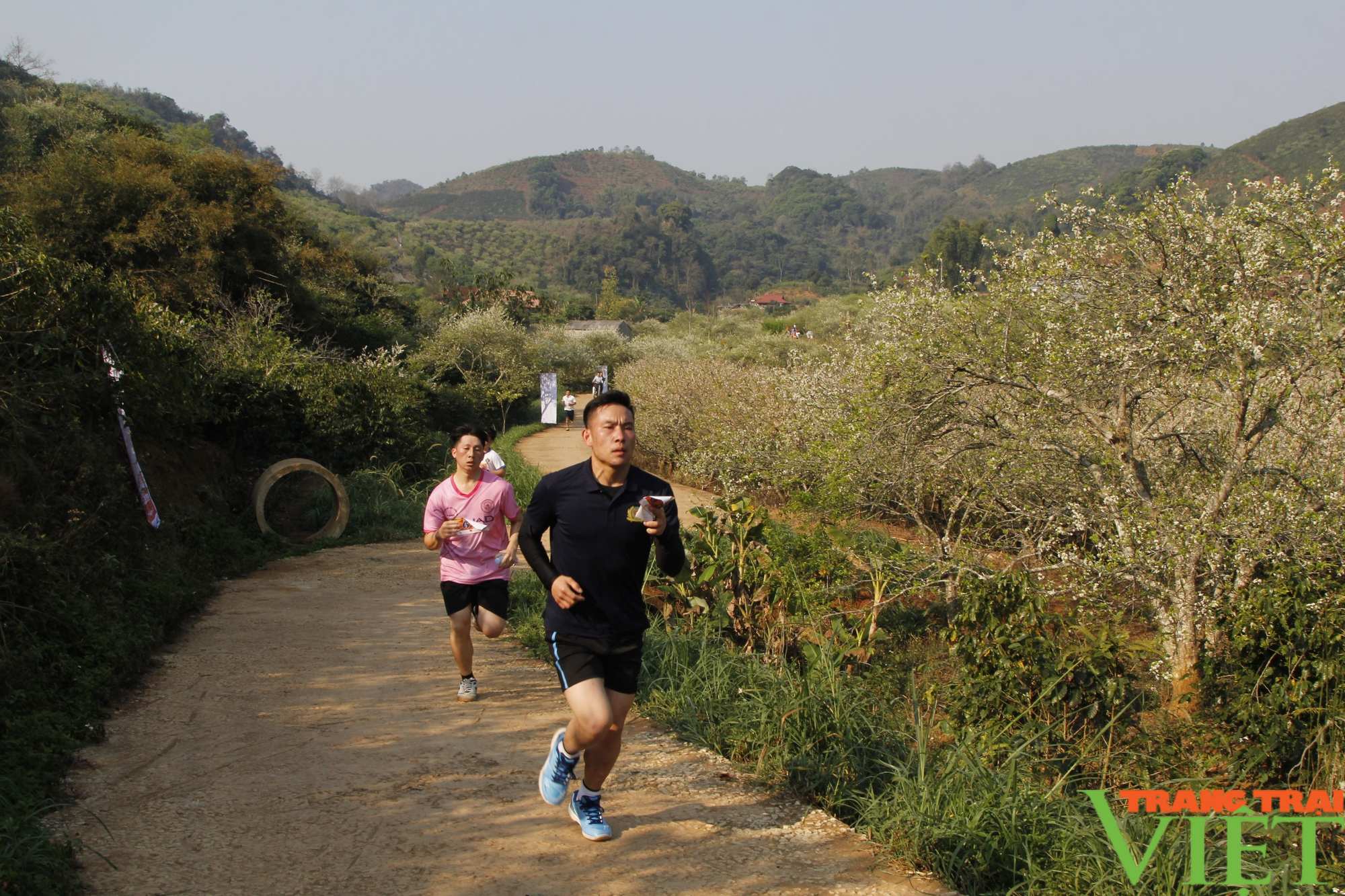 Sơn La: Hàng nghìn người tham gia chạy Olympic - Ảnh 4.