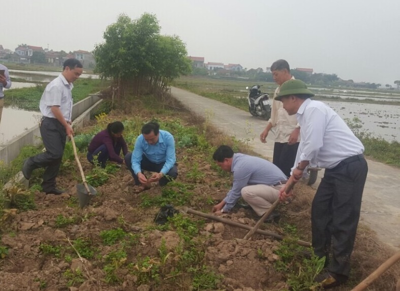 Bắc Ninh: Nông dân Gia Bình bảo vệ môi trường, xây dựng cánh đồng mẫu không vỏ bao bì thuốc BVTV - Ảnh 3.
