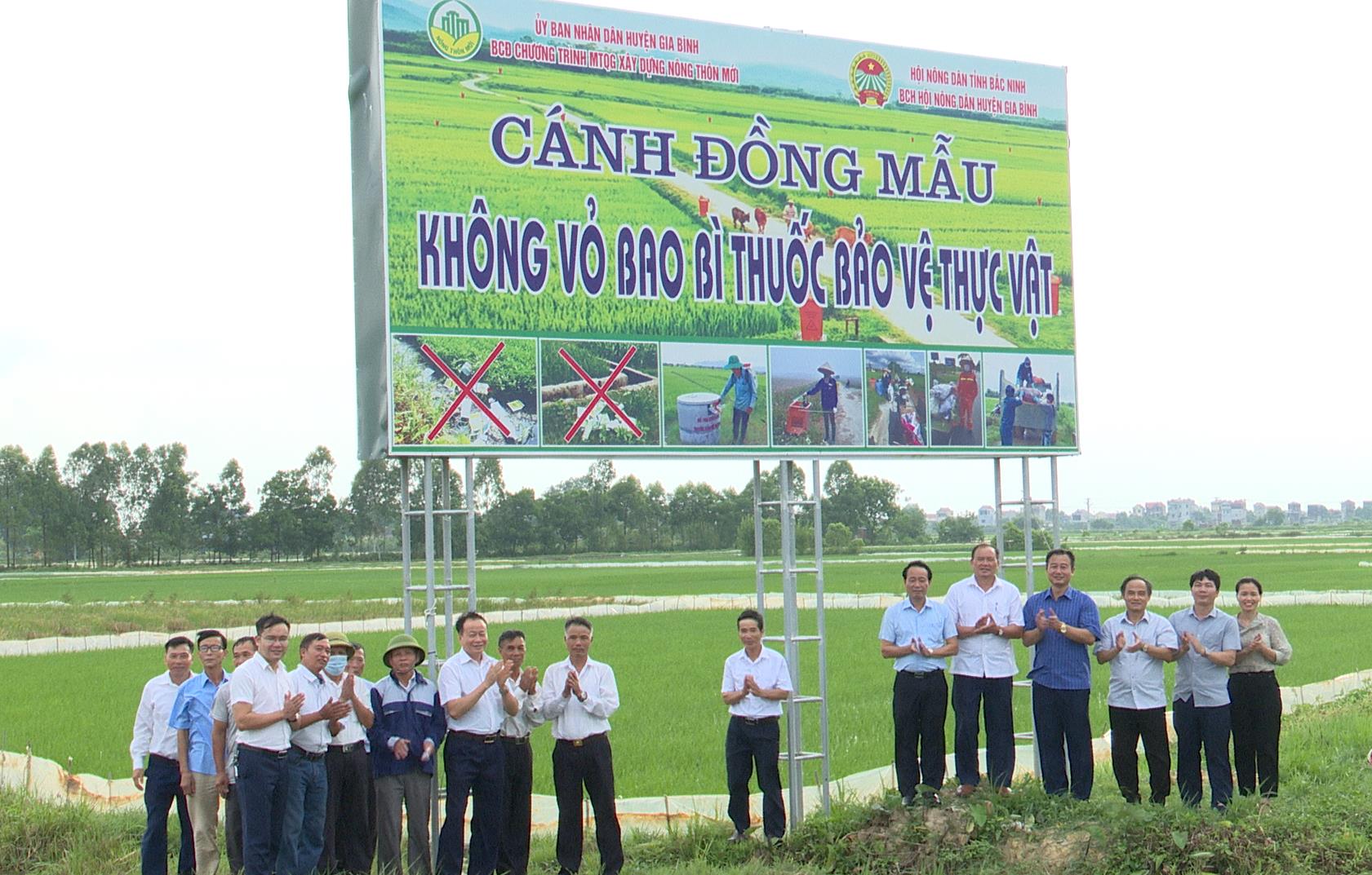 Bắc Ninh: Nông dân Gia Bình bảo vệ môi trường, xây dựng cánh đồng mẫu không vỏ bao bì thuốc BVTV - Ảnh 1.