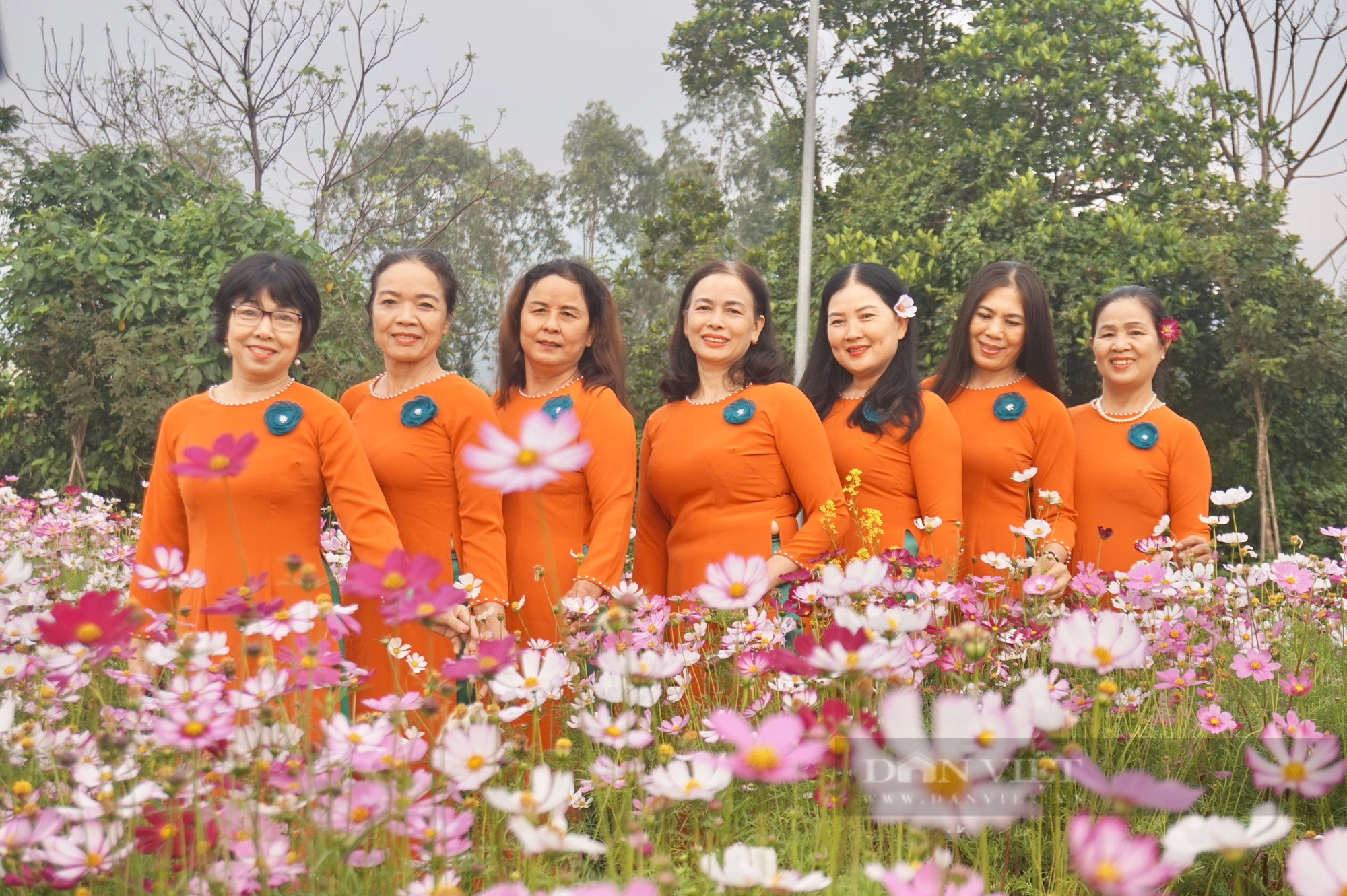 Giữa lòng Đà Nẵng có một vườn “hoa báo đông” làm chị em mê tít, xúng xích kéo về chụp ảnh - Ảnh 4.