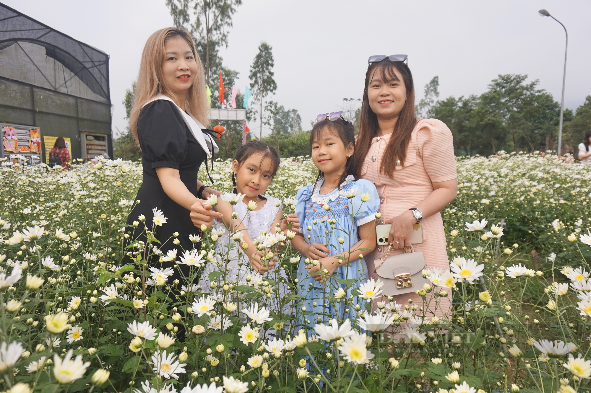 Giữa lòng Đà Nẵng có một vườn “hoa báo đông” làm chị em mê tít, xúng xích kéo về chụp ảnh - Ảnh 5.