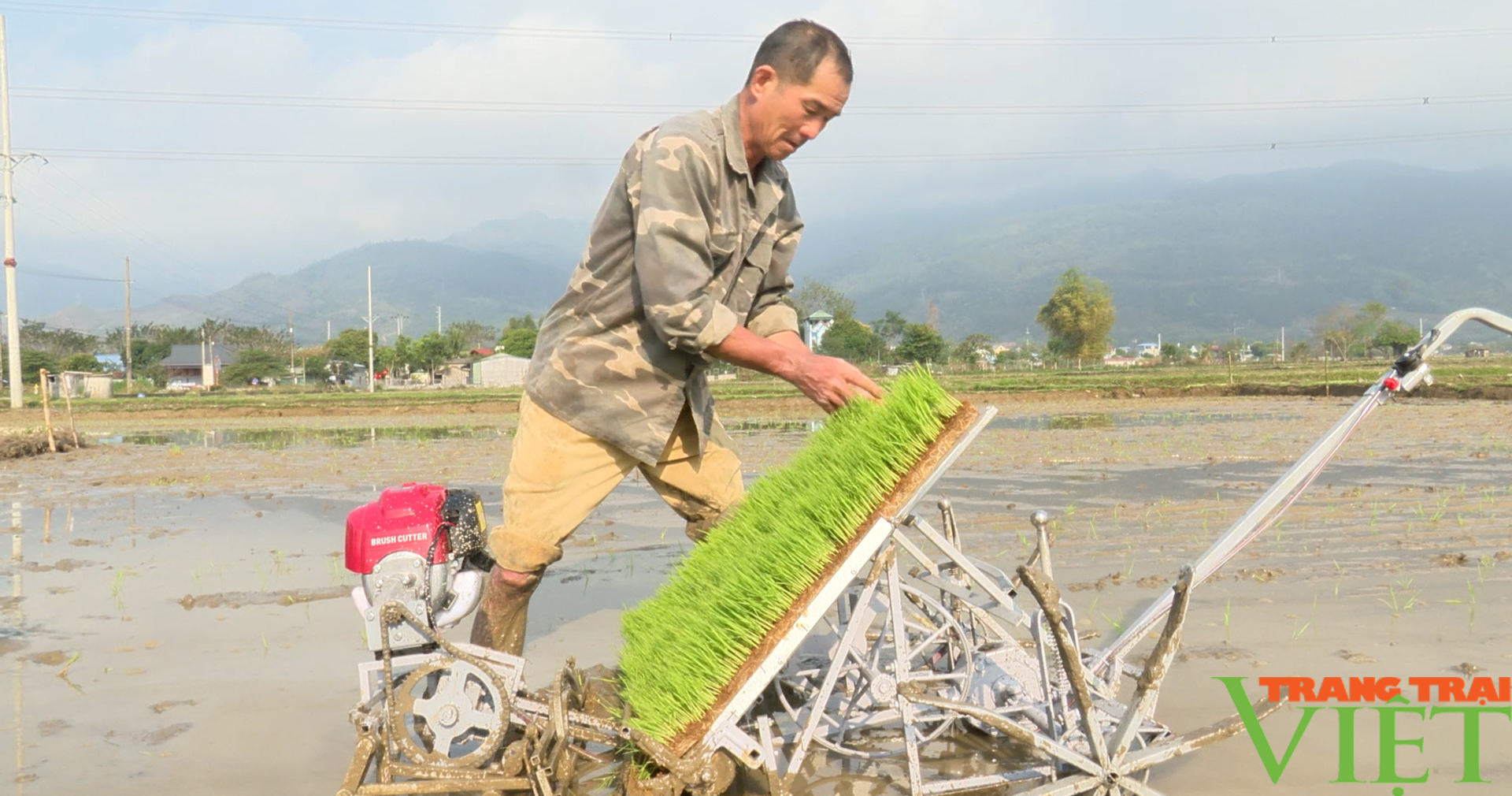 Phù Yên (Sơn La): Nông dân đưa máy cấy lúa vào thử nghiệm - Ảnh 2.