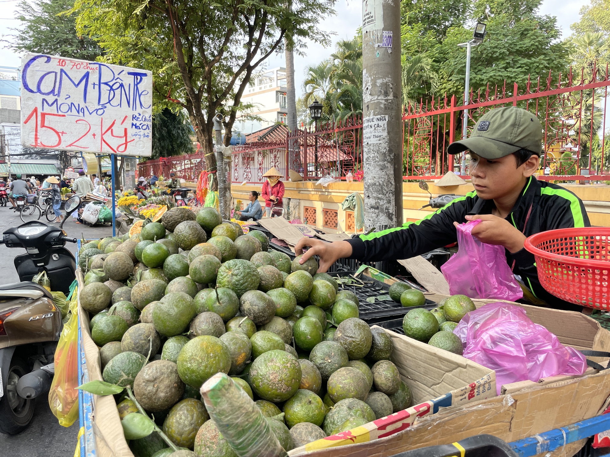 Người Sài Gòn ùn ùn giải cứu cam, lên Facebook kêu gọi hỗ trợ nông dân - Ảnh 3.