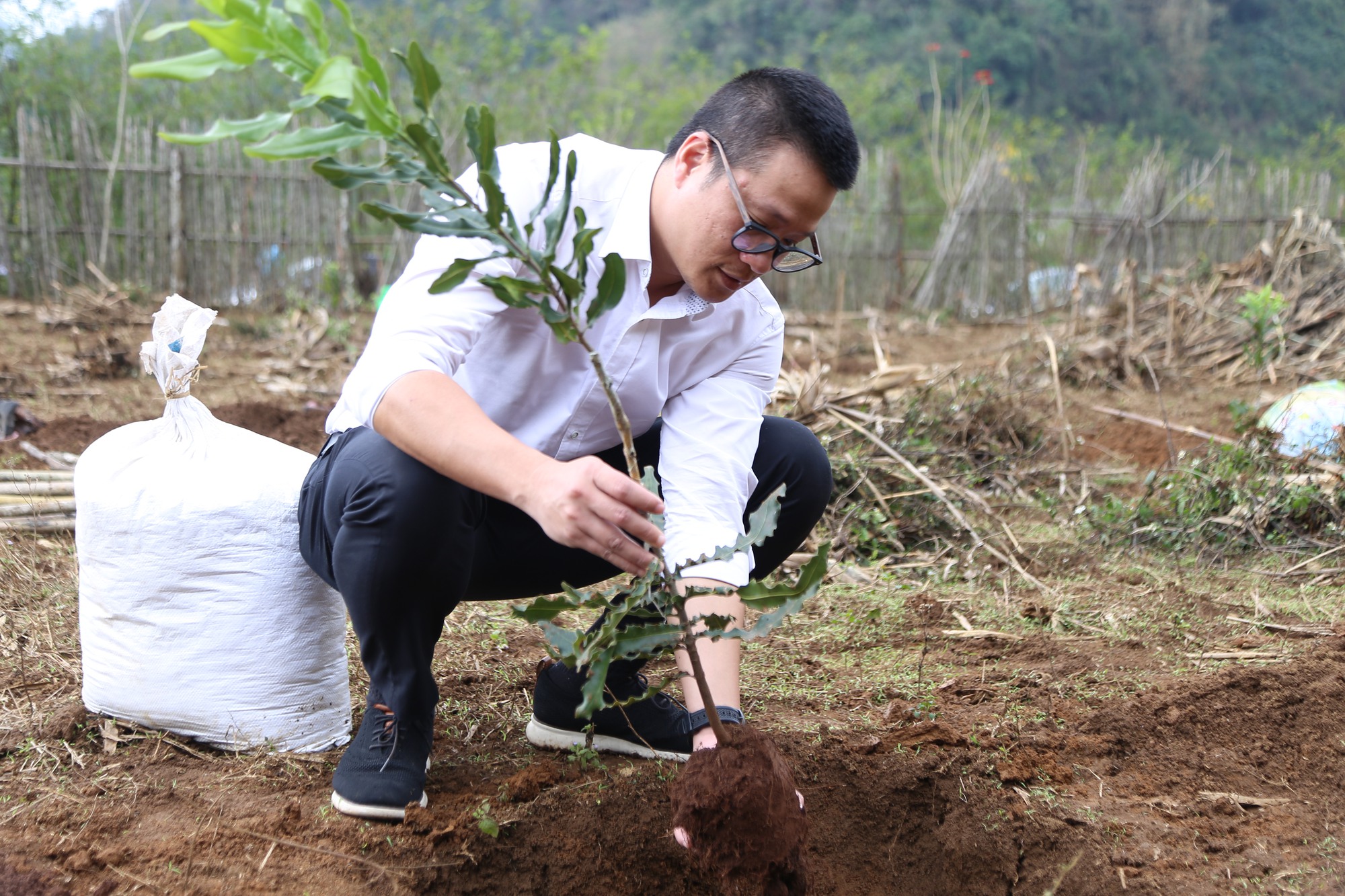 Ảnh: Toàn cảnh lễ trồng cây trao sinh kế cho nông dân Lạng Sơn - Ảnh 11.