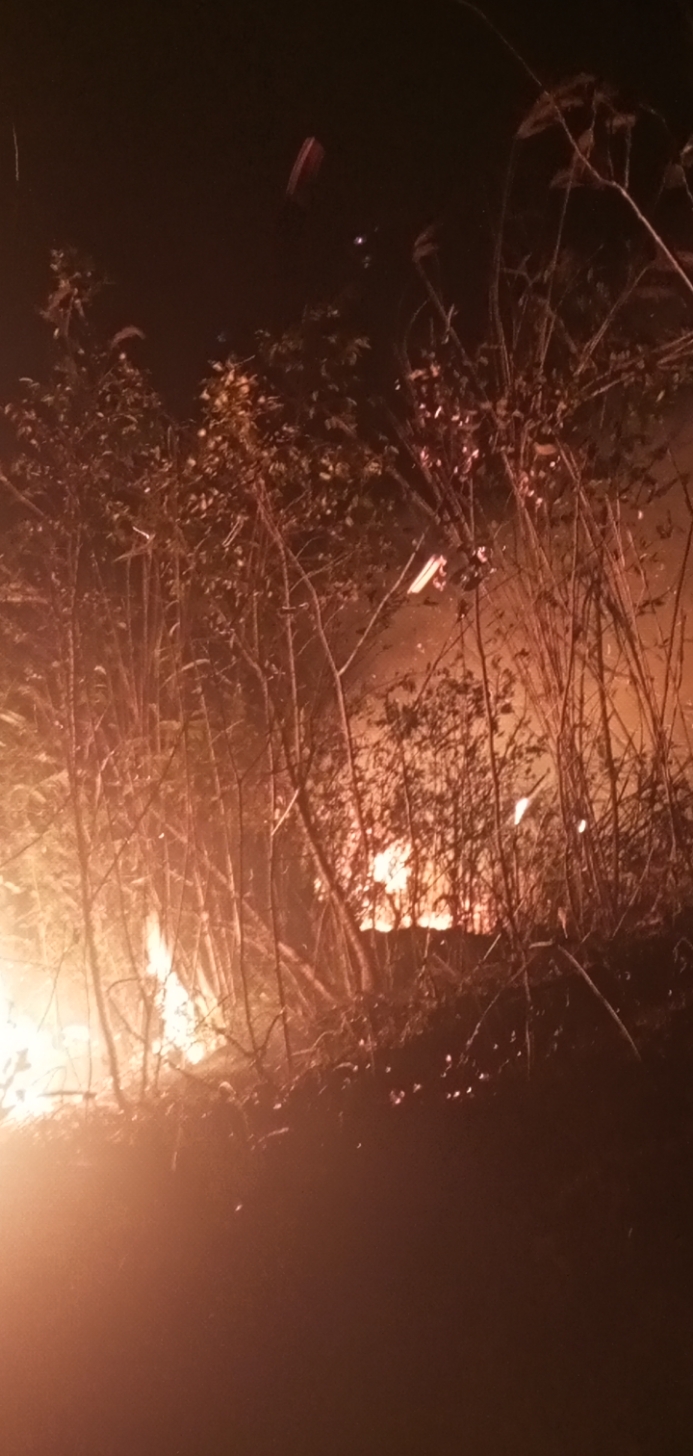 Đang cháy rừng tại Sa Pa - Ảnh 2.