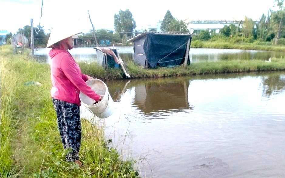 Loài cá xưa cho không ai ham, giờ chị nông dân Long An nuôi thành đặc sản, lời nửa tỷ/năm