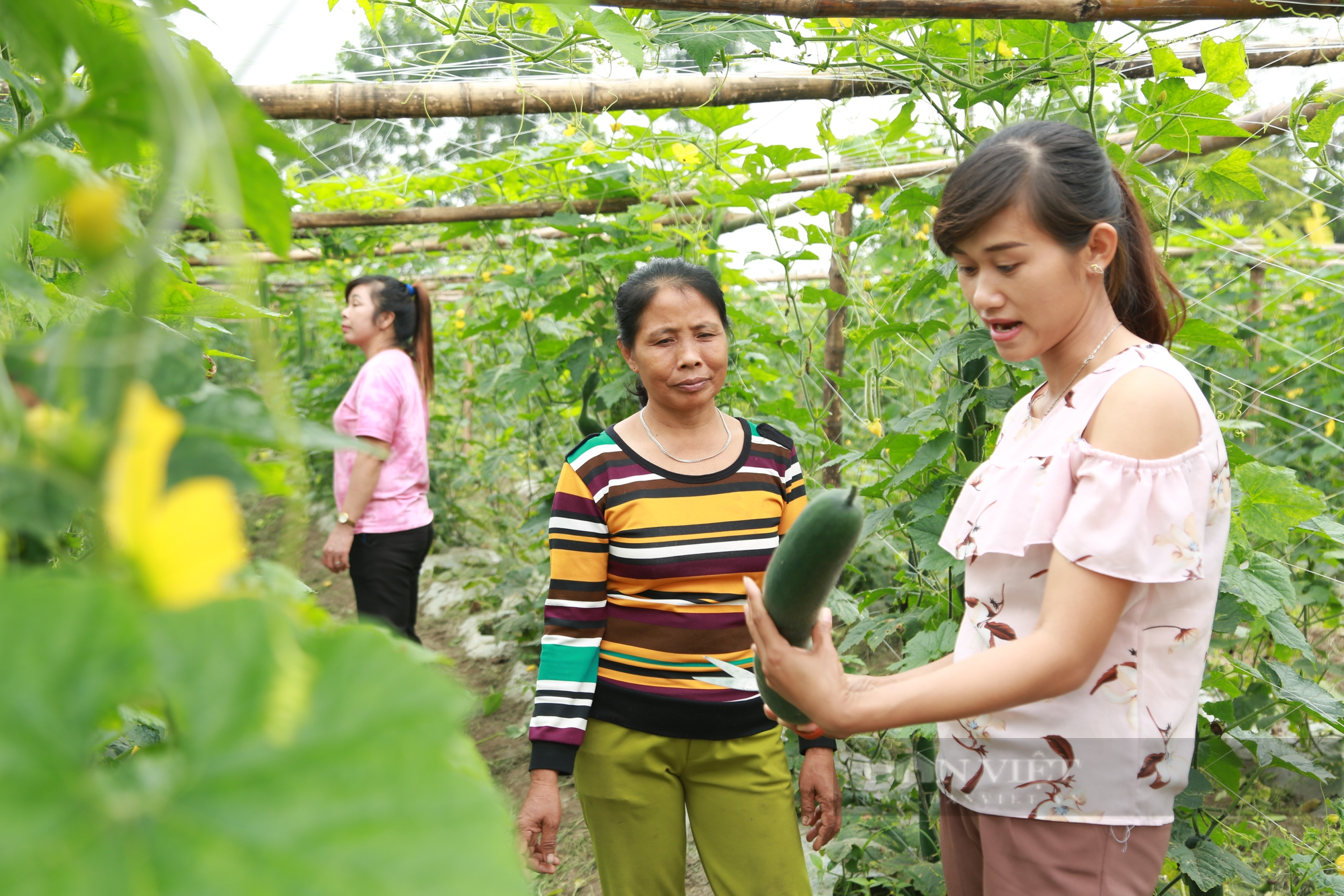 Huyện miền núi phía Bắc đầu tiên đạt chuẩn nông thôn mới có gì đặc biệt? - Ảnh 3.