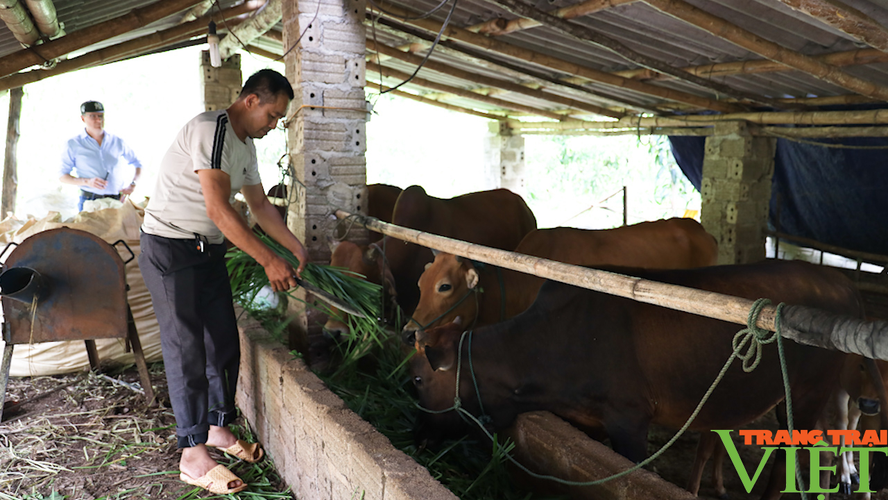 Cùng nông dân phát triển sản xuất, nâng cao thu nhập - Ảnh 3. Cùng nông dân phát triển sản xuất, nâng cao thu nhập - Ảnh 3.