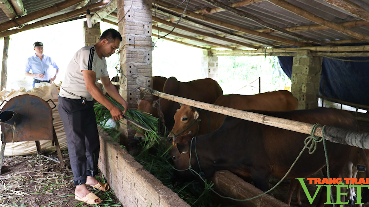 Cùng nông dân phát triển sản xuất, nâng cao thu nhập - Ảnh 3.