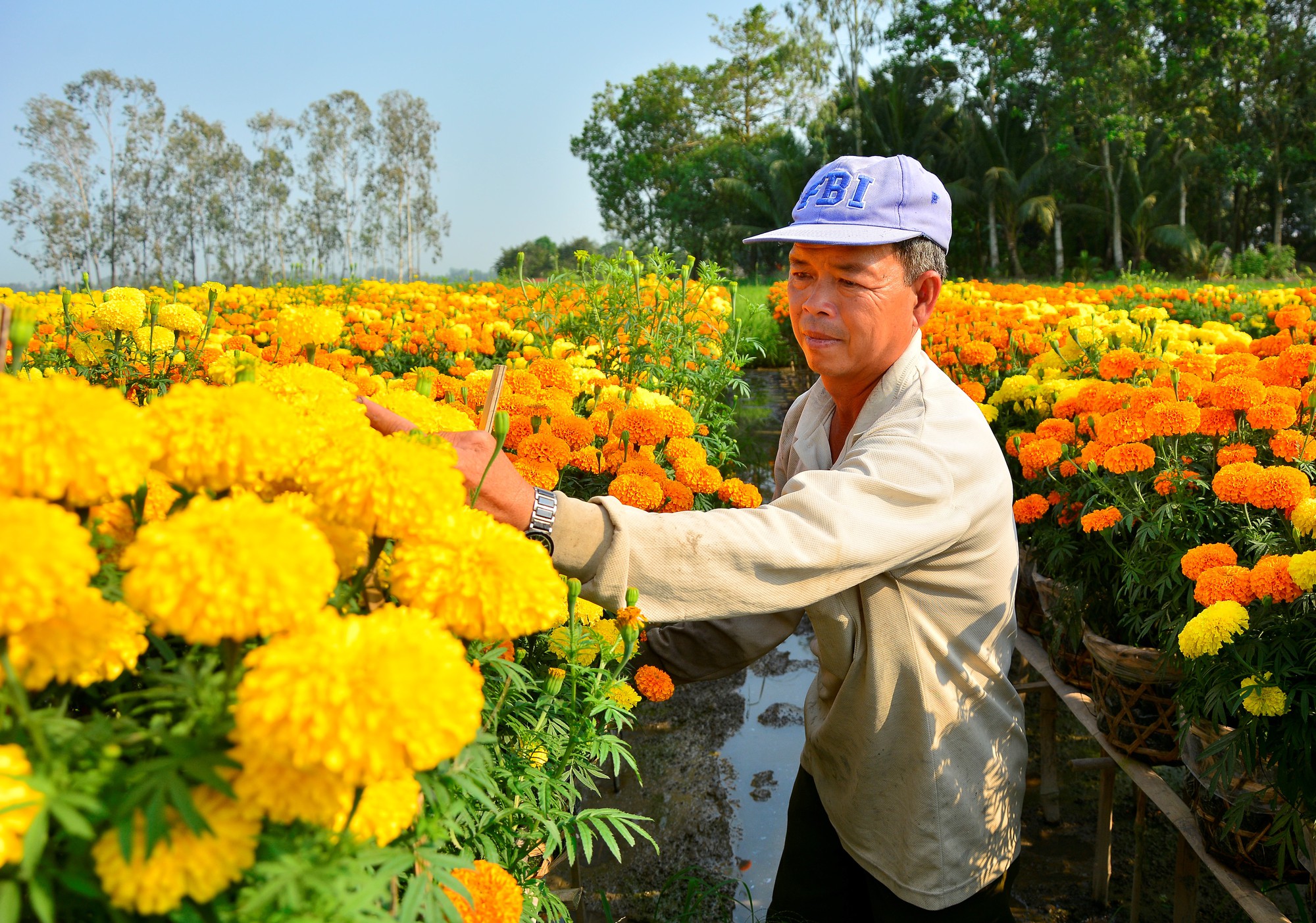 Kiên Giang: Phát huy vai trò Hội Nông dân trong xây dựng nông thôn mới - Ảnh 3.