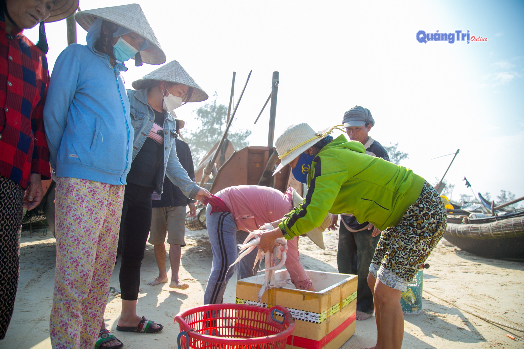 Cá cháo là cá gì mà dân Quảng Trị vừa đưa thuyền vô bờ thương lái đã móc lên cân mua ngay và luôn? - Ảnh 5.