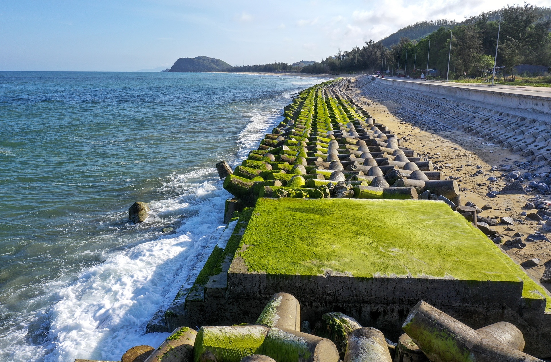 Hai bãi biển ở Việt Nam thuộc top biển phủ xanh rêu đẹp mê mẩn nhất thế giới - Ảnh 2.