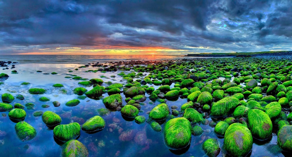 Hai bãi biển ở Việt Nam thuộc top biển phủ xanh rêu đẹp mê mẩn nhất thế giới - Ảnh 3.
