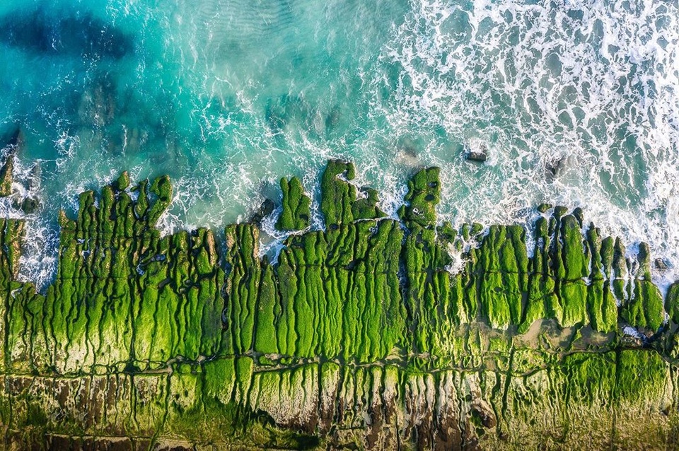 Hai bãi biển ở Việt Nam thuộc top biển phủ xanh rêu đẹp mê mẩn nhất thế giới - Ảnh 4.