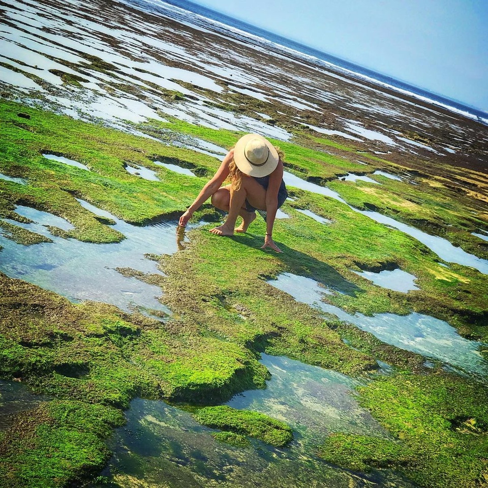 Hai bãi biển ở Việt Nam thuộc top biển phủ xanh rêu đẹp mê mẩn nhất thế giới - Ảnh 5.