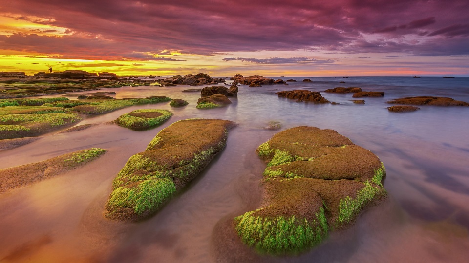 Hai bãi biển ở Việt Nam thuộc top biển phủ xanh rêu đẹp mê mẩn nhất thế giới - Ảnh 6.