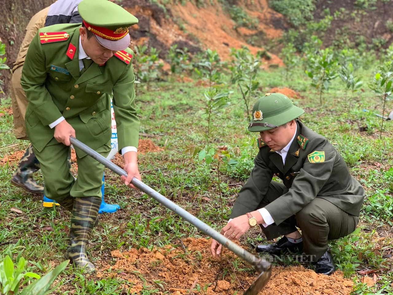 Thái Nguyên tăng cường chuyển đổi số trong lâm nghiệp, ứng dụng công nghệ trong quản lý rừng trồng năm 2023 - Ảnh 3.
